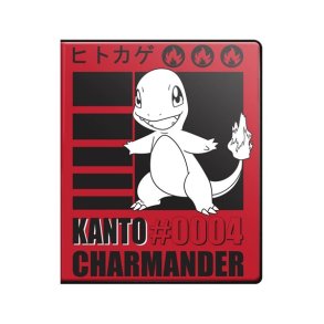 Portfolio 9-P Poke Charmander