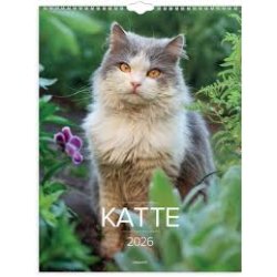 Vgkalender | Katte | 2026 