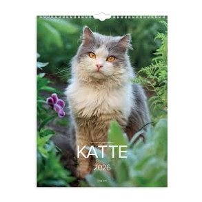 Vgkalender | Katte | 2026 