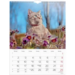 Vgkalender | Katte | 2026 