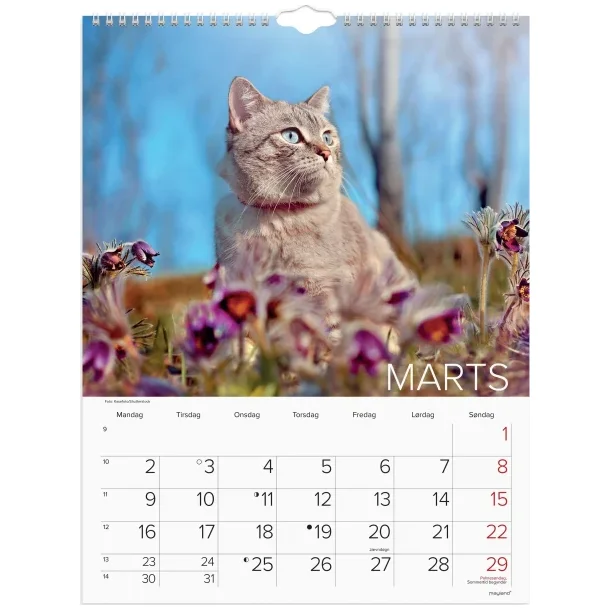 Vgkalender | Katte | 2026 