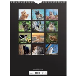 Vgkalender | Katte | 2026 