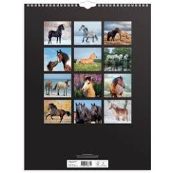 Vgkalender | Heste | 2026