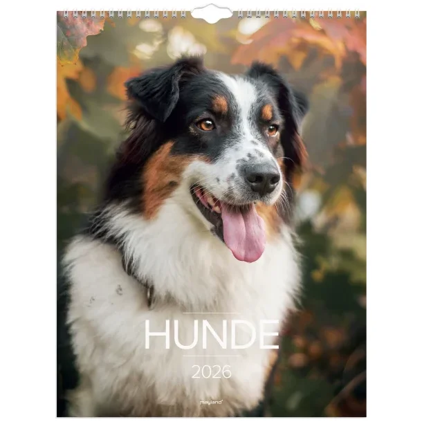 Vgkalender | Hunde | 2026