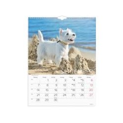 Vgkalender | Hunde | 2026