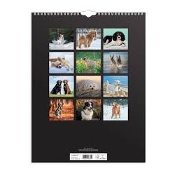Vgkalender | Hunde | 2026