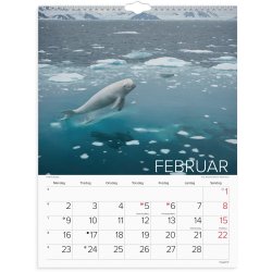 Vgkalender | Verdens dyr | 2026 |