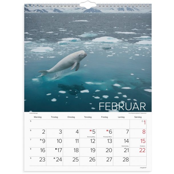 Vgkalender | Verdens dyr | 2026 |