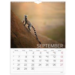 Vgkalender | Verdens dyr | 2026 |