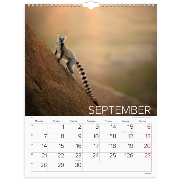 Vgkalender | Verdens dyr | 2026 |