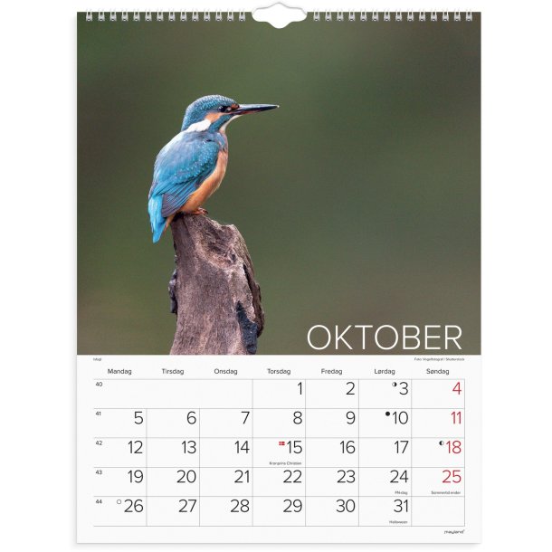 Vgkalender | Verdens dyr | 2026 |