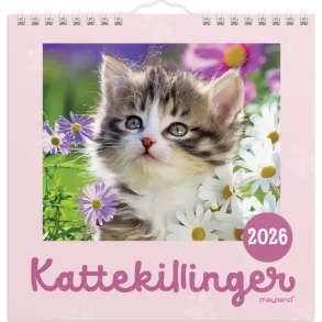 Vgkalender mini | Katte-killinger | 2026 |