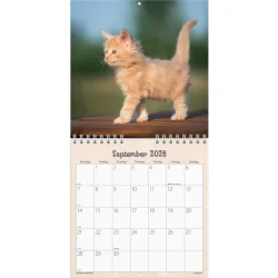 Vgkalender mini | Katte-killinger | 2026 |