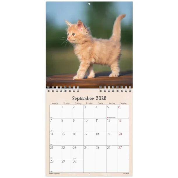 Vgkalender mini | Katte-killinger | 2026 |
