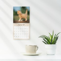 Vgkalender mini | Katte-killinger | 2026 |