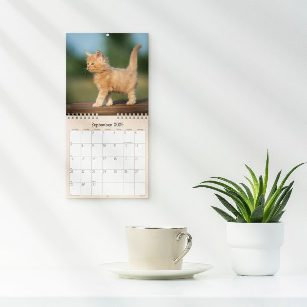Vgkalender mini | Katte-killinger | 2026 |