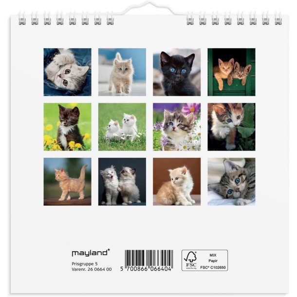 Vgkalender mini | Katte-killinger | 2026 |