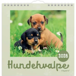 Vgkalender mini | Hunde-hvalpe | 2026 |