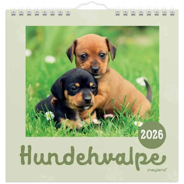 Vgkalender mini | Hunde-hvalpe | 2026 |