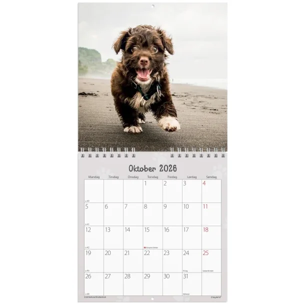 Vgkalender mini | Hunde-hvalpe | 2026 |