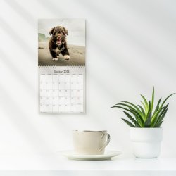 Vgkalender mini | Hunde-hvalpe | 2026 |