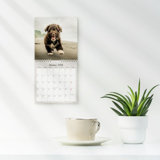 Vgkalender mini | Hunde-hvalpe | 2026 |