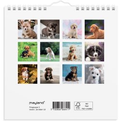 Vgkalender mini | Hunde-hvalpe | 2026 |