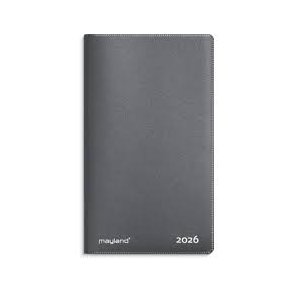 Index Planner | 2026 | Mini gr |