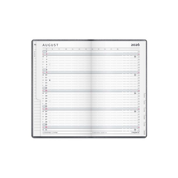 Index Planner | 2026 | Mini gr� |