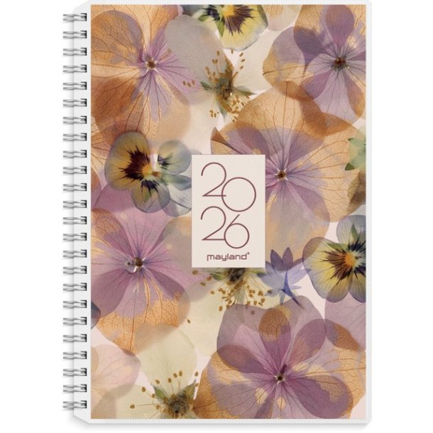 Ugekalender 4 illustrationer | A5 | 2026 |