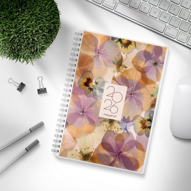 Ugekalender 4 illustrationer | A5 | 2026 |