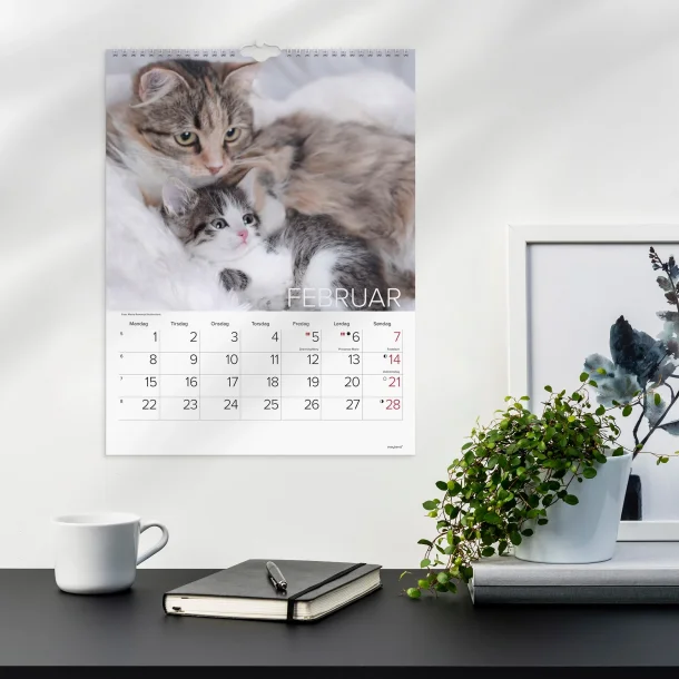 Mayland | V�gkalender Katte | 2027 | 