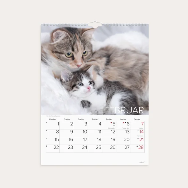 Mayland | V�gkalender Katte | 2027 | 