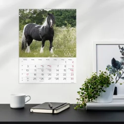 Mayland | V�gkalender Heste | 2027 |