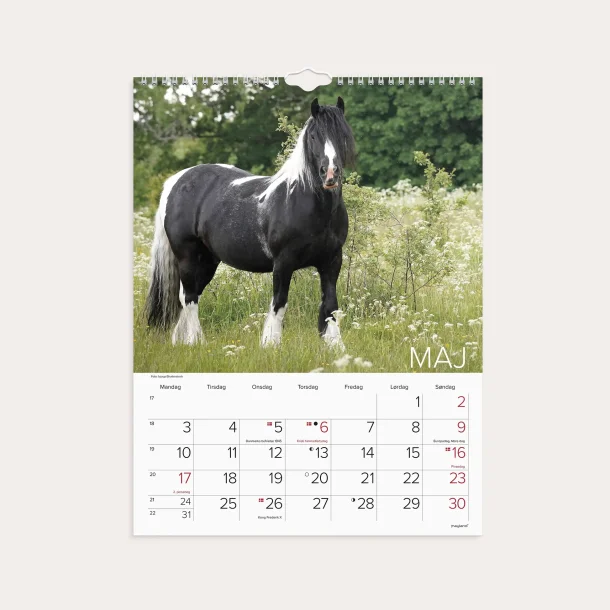 Mayland | V�gkalender Heste | 2027 |