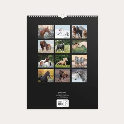 Mayland | V�gkalender Heste | 2027 |