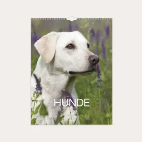 Mayland | V�gkalender Hunde | 2027 |