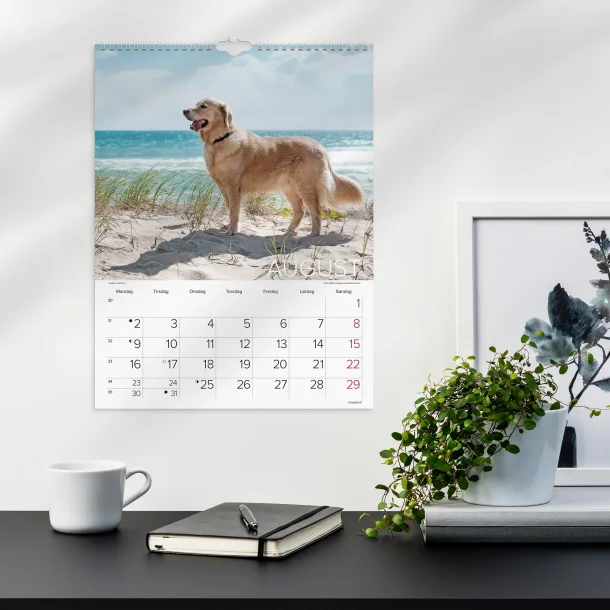 Mayland | V�gkalender Hunde | 2027 |