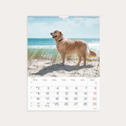 Mayland | V�gkalender Hunde | 2027 |
