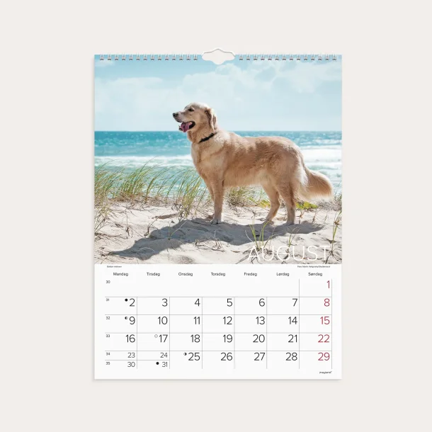 Mayland | V�gkalender Hunde | 2027 |