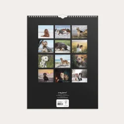 Mayland | V�gkalender Hunde | 2027 |