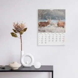 Mayland | V�gkalender | Verdens dyr | 2027 |