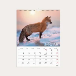 Mayland | V�gkalender | Verdens dyr | 2027 |