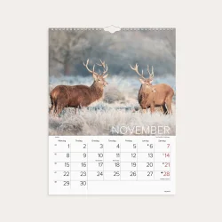Mayland | V�gkalender | Verdens dyr | 2027 |