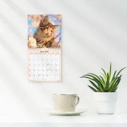 Mayland | V�gkalender mini | kattekillinger | 2027 |