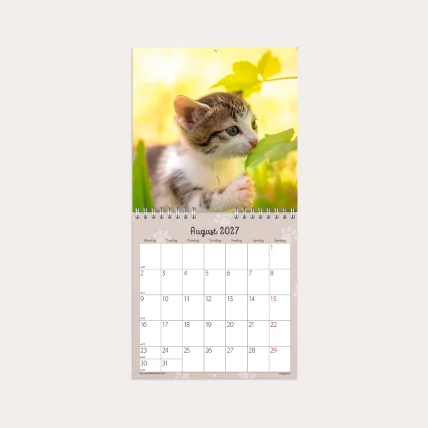 Mayland | V�gkalender mini | kattekillinger | 2027 |