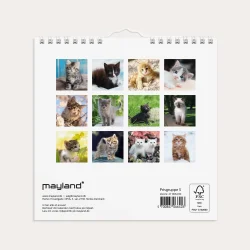 Mayland | V�gkalender mini | kattekillinger | 2027 |