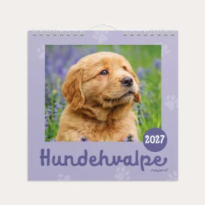 Mayland | V�gkalender mini | hundehvalpe | 2027 |