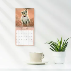 Mayland | V�gkalender mini | hundehvalpe | 2027 |