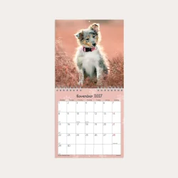 Mayland | V�gkalender mini | hundehvalpe | 2027 |